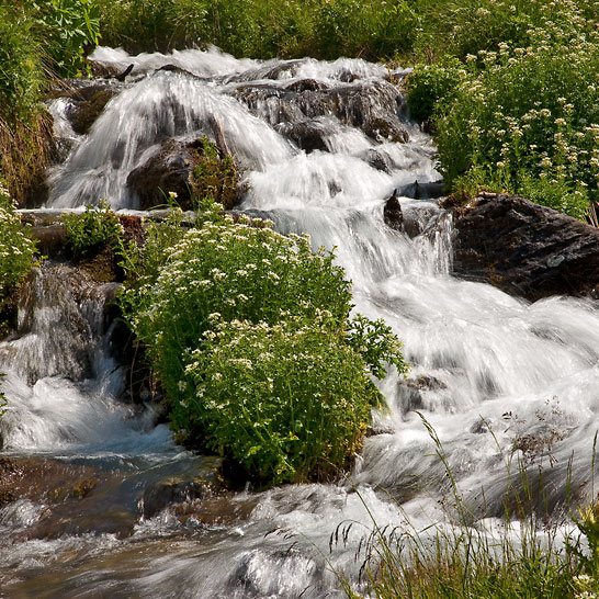 tiroler Wildbach